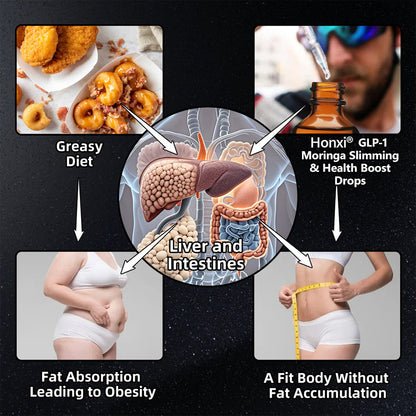 Honxi® 𝐆𝐋𝐏-𝟏 Capsaicin & Moringa Slimming Support Drops (👨‍⚕️𝐅𝐨𝐨𝐝-𝐠𝐫𝐚𝐝𝐞 𝐅𝐚𝐭 𝐁𝐮𝐫𝐧𝐞𝐫 – 𝐃𝐞𝐯𝐞𝐥𝐨𝐩𝐞𝐝 𝐛𝐲 𝐁𝐫𝐢𝐭𝐢𝐬𝐡 𝐎𝐛𝐞𝐬𝐢𝐭𝐲 𝐒𝐨𝐜𝐢𝐞𝐭𝐲)